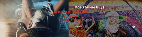 ПСИЛОЦИБИНОВЫЕ ГРИБЫ Аркадак