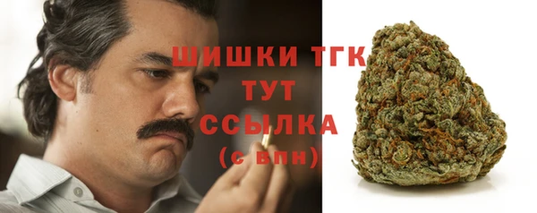 ПСИЛОЦИБИНОВЫЕ ГРИБЫ Аркадак