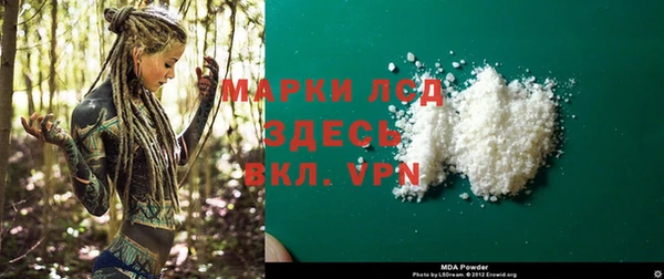 ПСИЛОЦИБИНОВЫЕ ГРИБЫ Аркадак