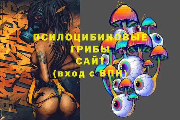 мдпв Армянск