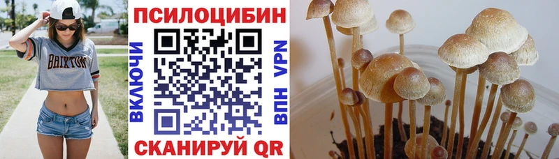 сайты даркнета наркотические препараты  Октябрьск  Галлюциногенные грибы Magic Shrooms  ОМГ ОМГ зеркало 